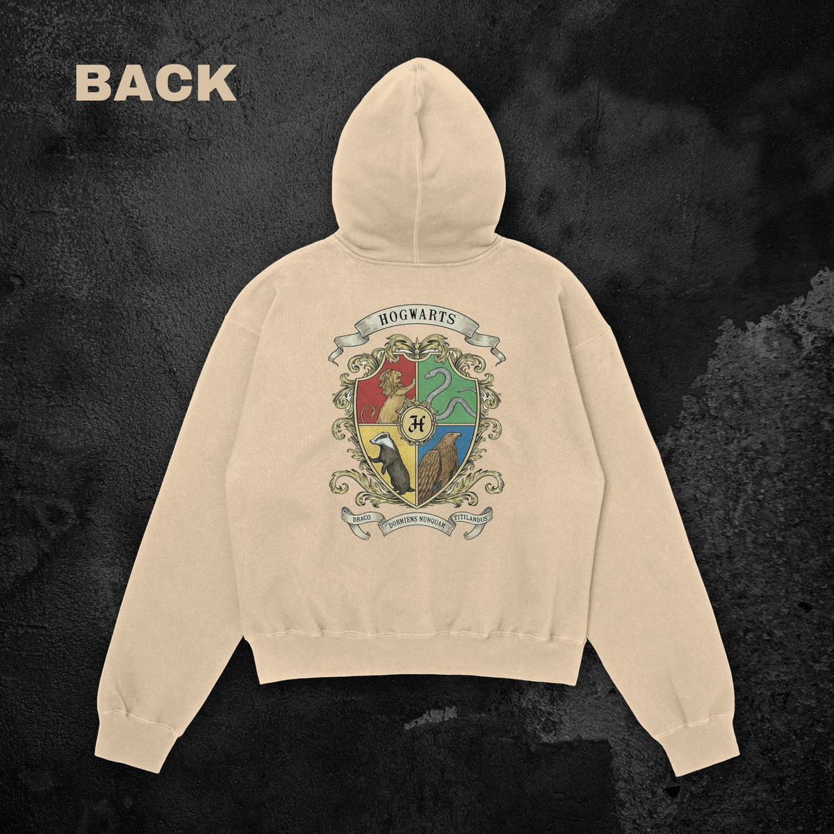 Hogwarts Oversized Hoodie Back